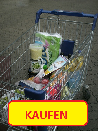 Einkauswagen